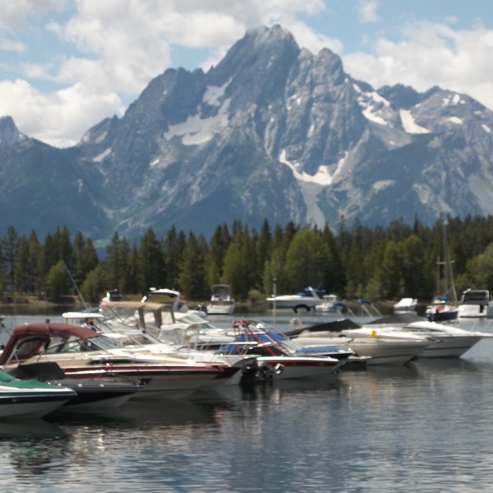 Meet your Posher, Susan